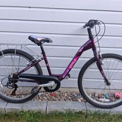 Kids Purple Bike