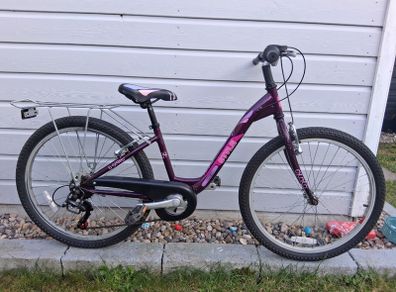 Kids Purple Bike