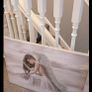 angel canvas two beautiful canvases Image 3