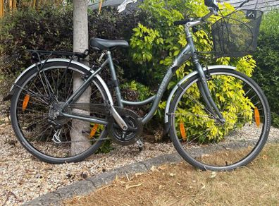 Bicycle -Ladies Trek T30 City bike
