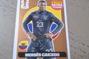 Panini World Cup 2026 Extra Sticker Caicedo