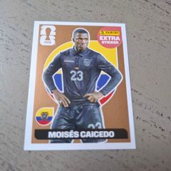Panini World Cup 2026 Extra Sticker Caicedo