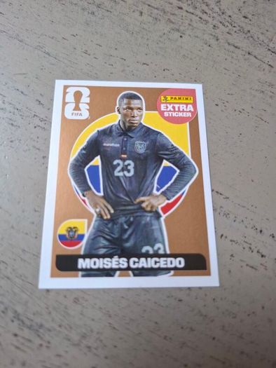 Panini World Cup 2026 Extra Sticker Caicedo