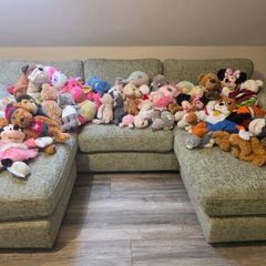 Teddies