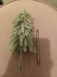 Mini christmas tree for decor