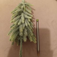 Mini christmas tree for decor