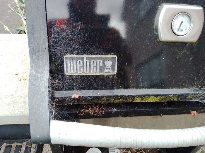 Old BBQ gas