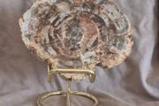 Fossilized wood, Madagascar, Triassic period. With metal display stand.