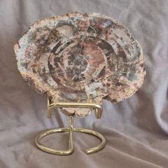 Fossilized wood, Madagascar, Triassic period. With metal display stand.
