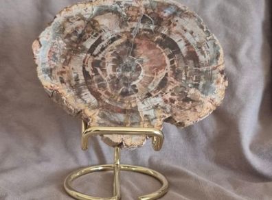 Fossilized wood, Madagascar, Triassic period. With metal display stand.
