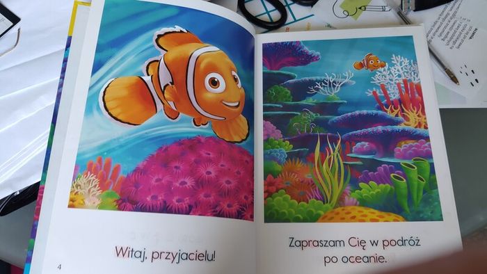 Book in polish ksiazeczka po polsku