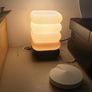 Retro Basket Frame Lamp Image 3