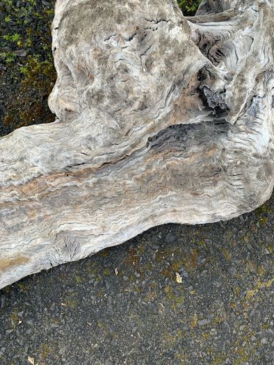 Substantial Collection of Old Bog Oak. Delivery by van can be arranged.