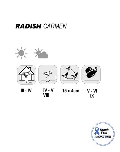 (R) Radish Carmen seeds 3g / Plant in August (125739)