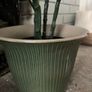 Artificial plant and pot Image 2