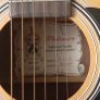 Palmer Guitar with case Image 2