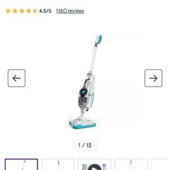 steam cleaner