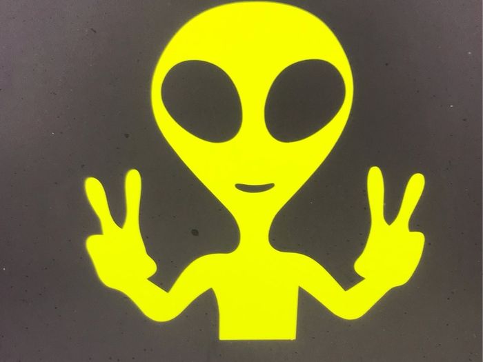 Alien Sticker Helmets Cars Vans etc
