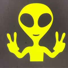 Alien Sticker Helmets Cars Vans etc