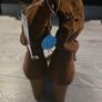 BN Tan mid calf boots Image 3