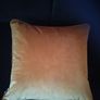 Cushion - High Quality Feather Velvet Image 2