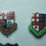 RAILWAY COMPANY (logos & crests) - 9 x quality enamel badges (1970s to early 1990s). Lot C Image 2