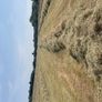 Hay bales Image 3