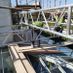 hmscaffolding