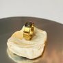 Ring Image 2