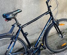 Ridgeback Motion bike
