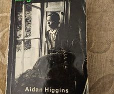 Langrishe,go Down. By Aiden Higgins. 1977 Paperback In Good Condition.  See Photos For Same.