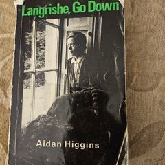 Langrishe,go Down. By Aiden Higgins. 1977 Paperback In Good Condition.  See Photos For Same.
