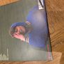 Rozi Plain - What a Boost Image 2