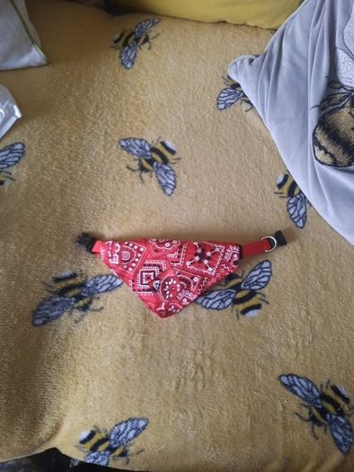 small bandana dog collar