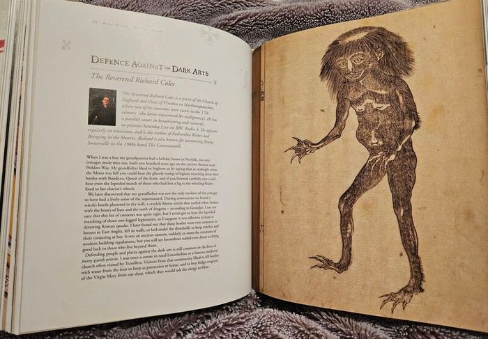 Harry Potter: A History of Magic