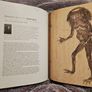 Harry Potter: A History of Magic Image 7