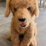 Rare FurReal Friends Biscuit interactive puppy Image 3