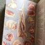Mrs Beetons All about Cookery hardcover book Image 9