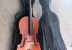 Full size cello for sale