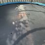 trampoline Image 3