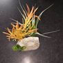 Aquarium Fish Tank Ornament Image 3