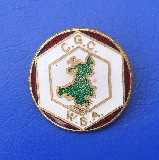WELSH BEEKEEPER'S ASSOCIATION (CGC - WBA) - membership enamel badge (1970's / 1980's). A scarce badge.