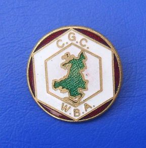 WELSH BEEKEEPER'S ASSOCIATION (CGC - WBA) - membership enamel badge (1970's / 1980's). A scarce badge.