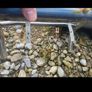 Bullbar Abar Image 2