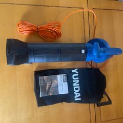 Electric leaf blower vacuum