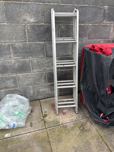 extendable ladder
