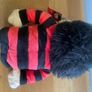 Gold Head Cover - Denis the Menace Image 2