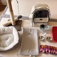 cat accessories