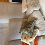 sofabed Image 4