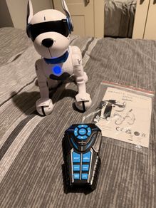 Ziggy the Robo Dog
